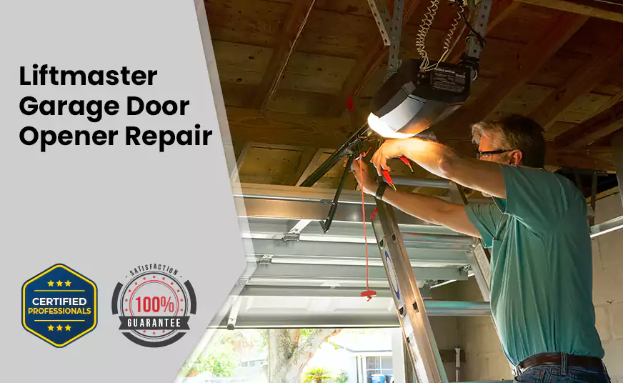 LiftMaster Garage Door Opener Repair in Avondale, AZ